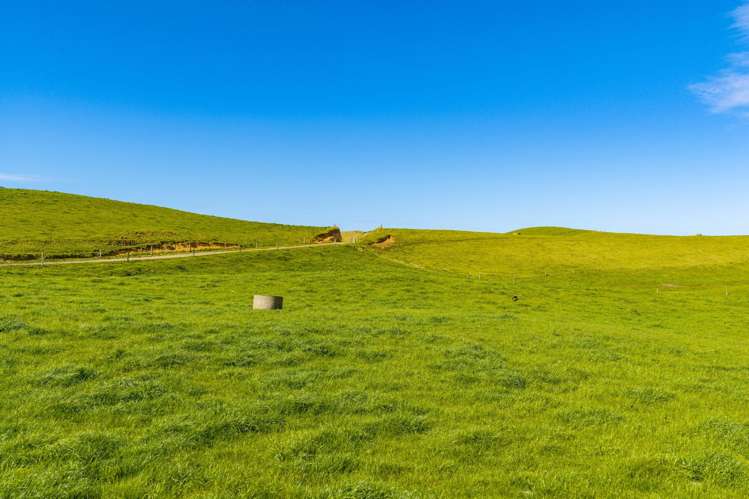 559 Mahuta Road Dargaville_33