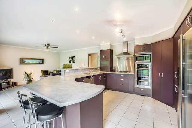 377 Ponga Road Opaheke_3