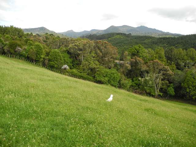 386 Te Tahi Road Puketotara_1