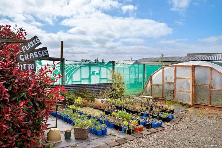 449 Grahams Beach Road Manukau Heads_17