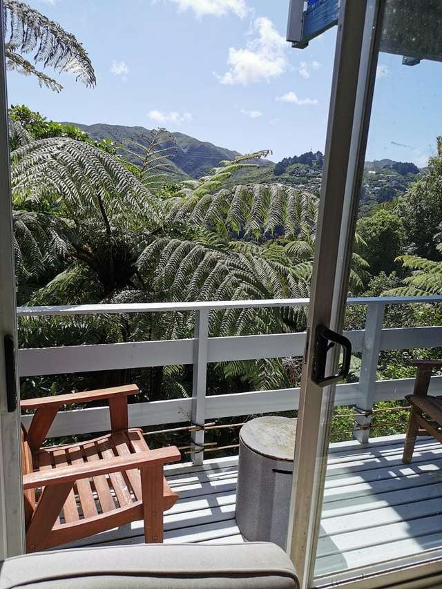 19 Rochester Street Wilton_4