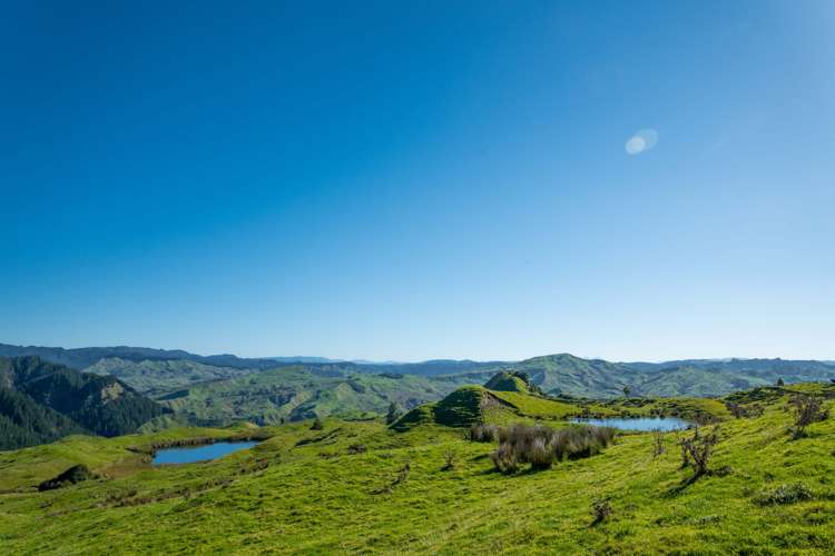 229 Rangikohua Road Tolaga Bay_4