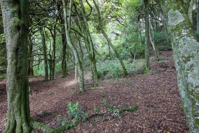 137 Kiritaki Road Dannevirke_1