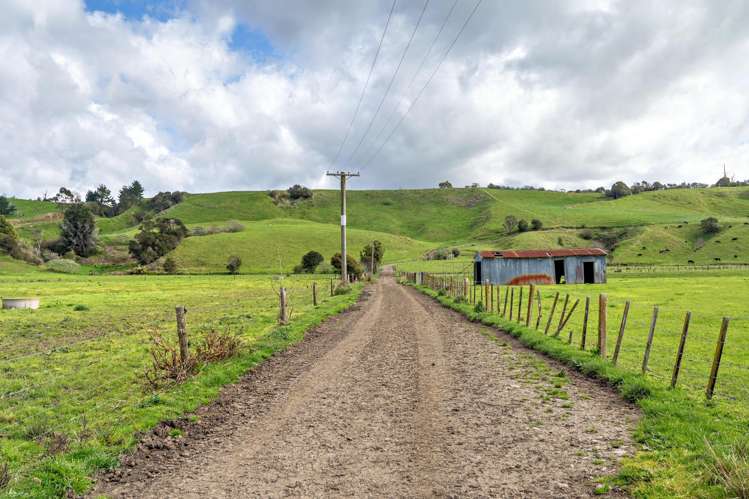 Queens Farm, 16 McGinley Road Opotiki_19
