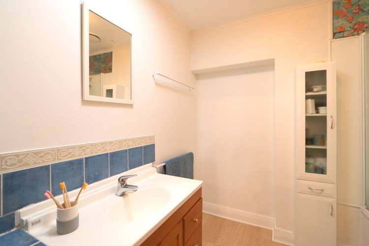 318 Herbert Street Windsor_14