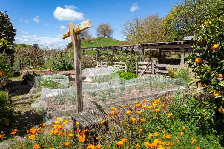 530 Arapuni Road Putaruru_16