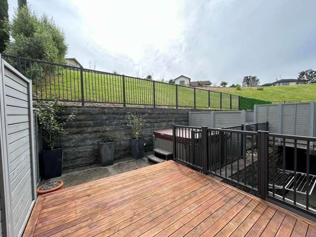 16 Charles Heaphy Lane Stonefields_1