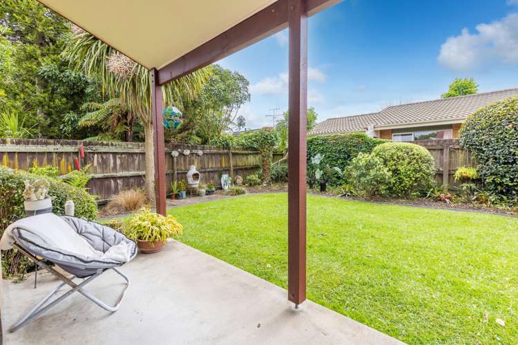 25 Bailey Avenue Claudelands_5