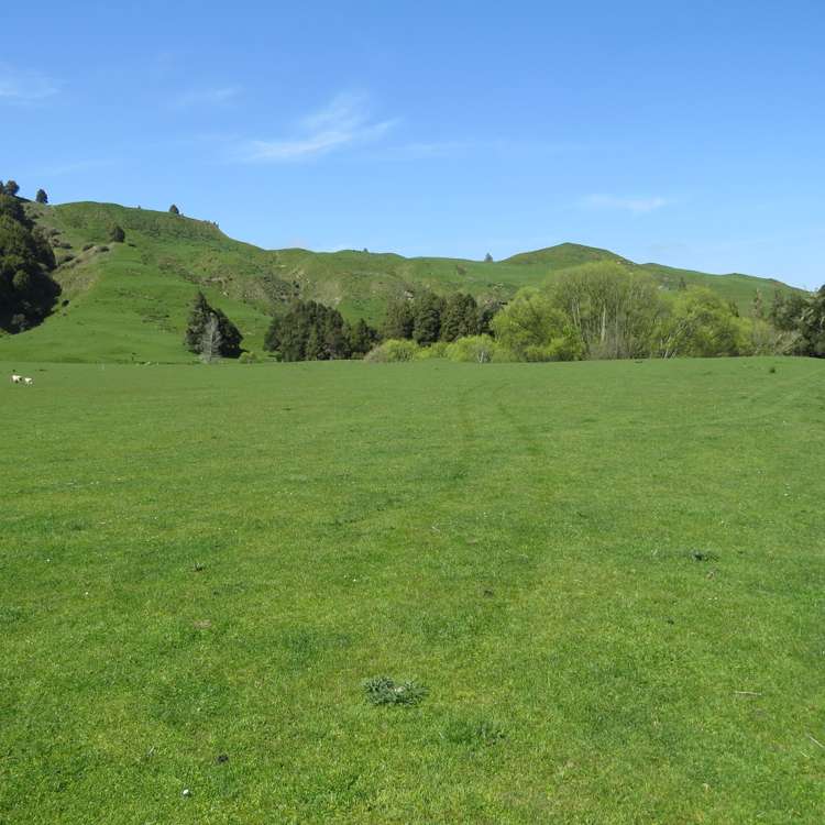 167 Whenuakura Road Waimiha-Ongarue_24