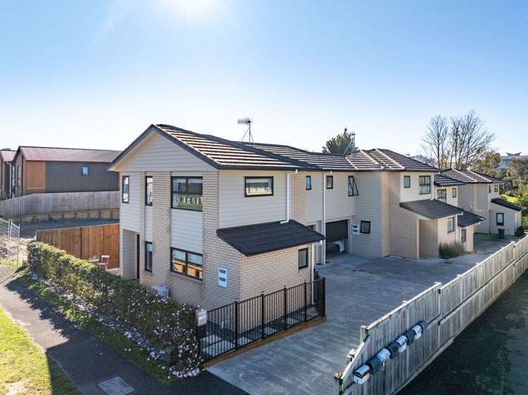 1/3 Manning Street_0