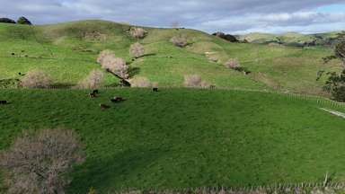 4326 Kaipara Coast Highway_3