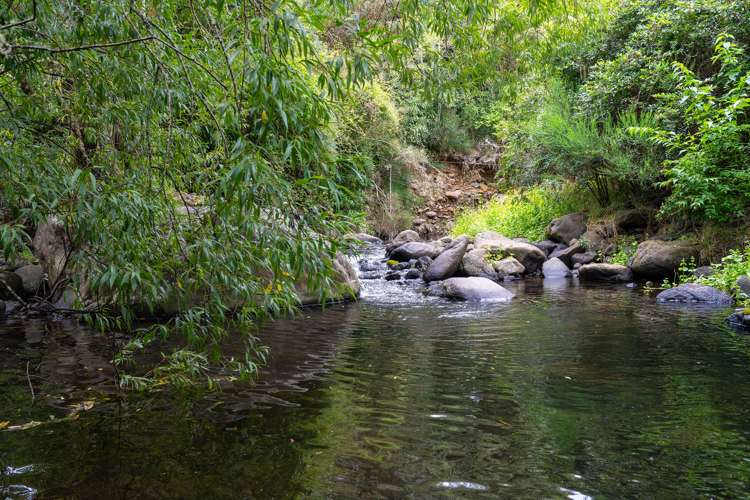 462 Waitati Valley Road Upper Waitati Dunedin City Houses for