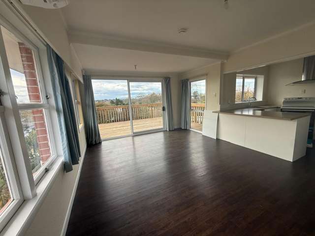99 Pembroke Street Hamilton Lake_3
