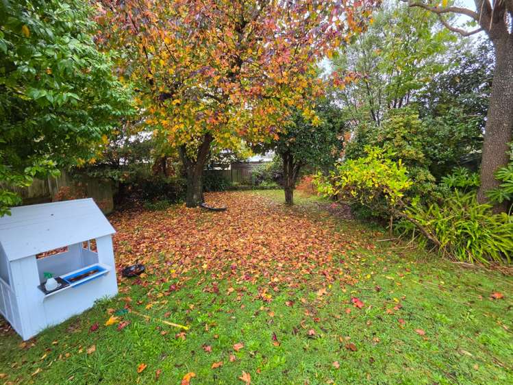 4 Gardener Street Levin_23