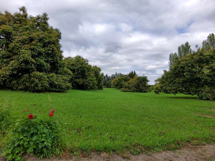 168 No 1 Road Te Puke_15