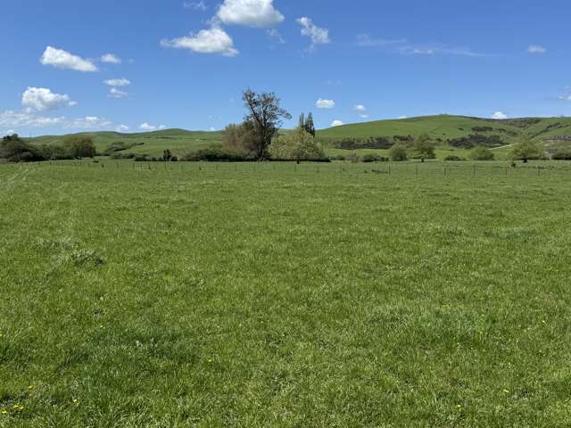 1209 SHWY 3 Otorohanga Road Otorohanga_4