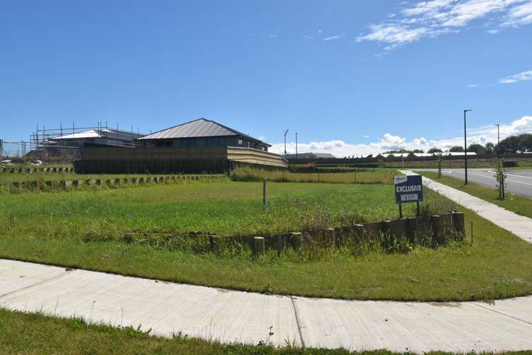 12 Hoki Avenue Morrinsville_2