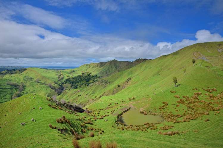 783 Glenroy Road Whangara_25