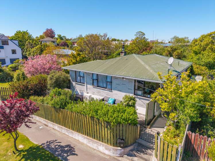 12 Kauri Street Highfield_2