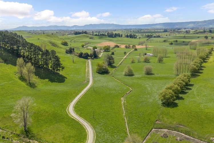 58 Nicholson Road Piarere_26