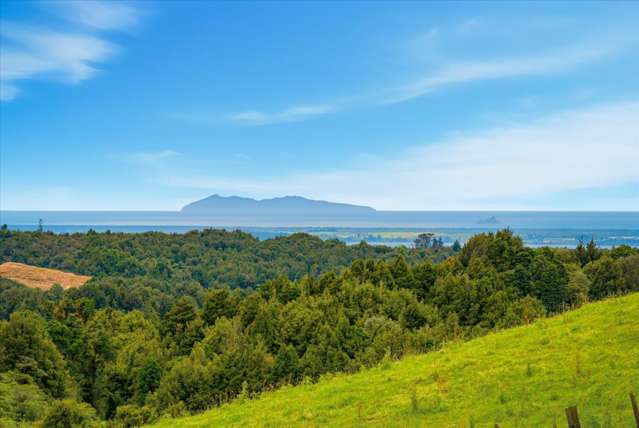 938C Whakamarama Road Whakamarama_4