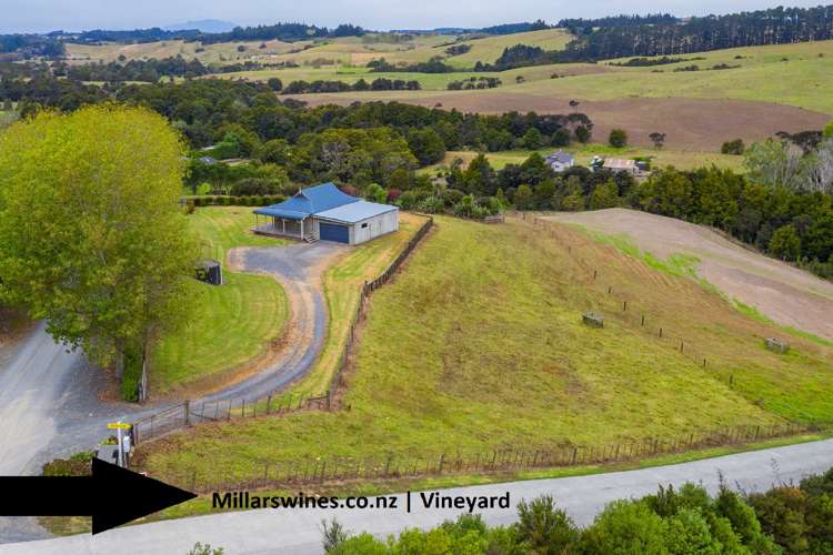 474 Poplar Glade Mangawhai_8