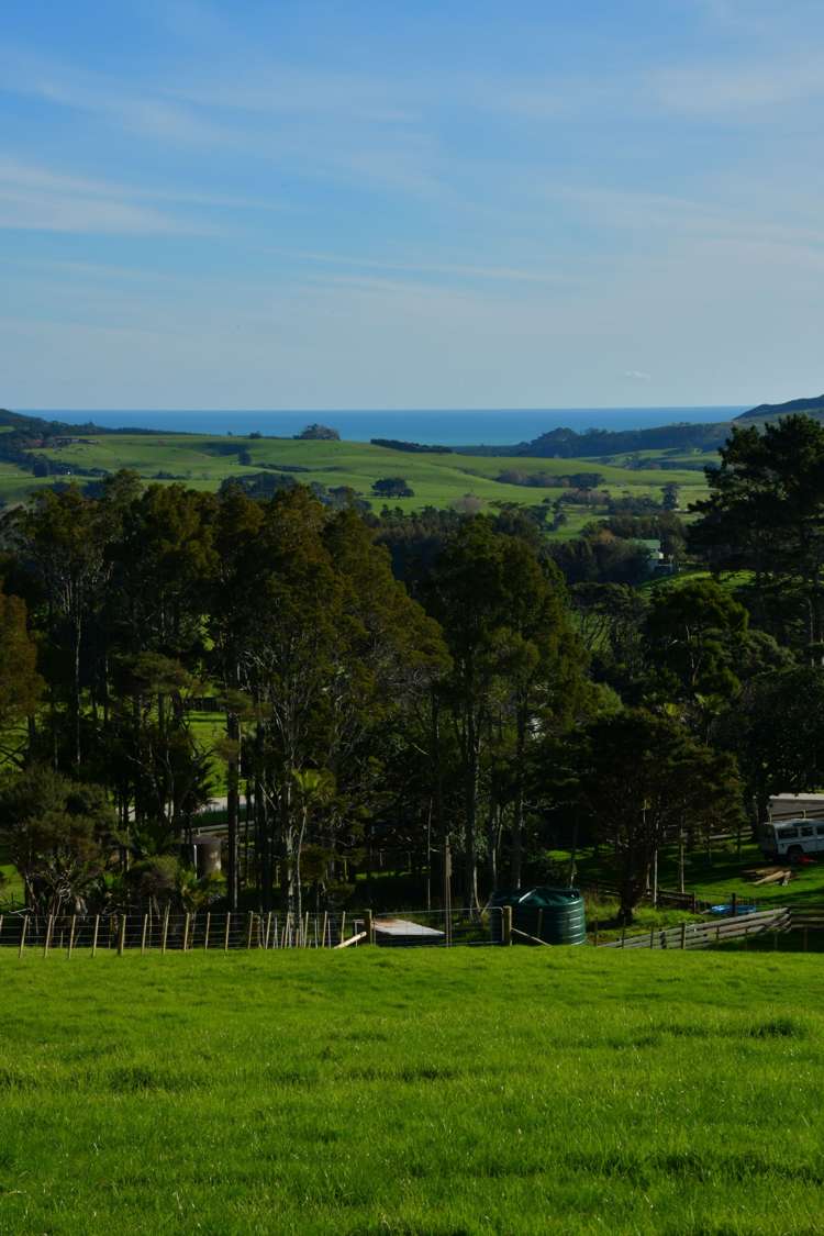 170 Hinau Road Waimauku_23