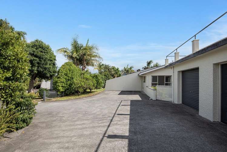 41b Princes Street Kensington_3