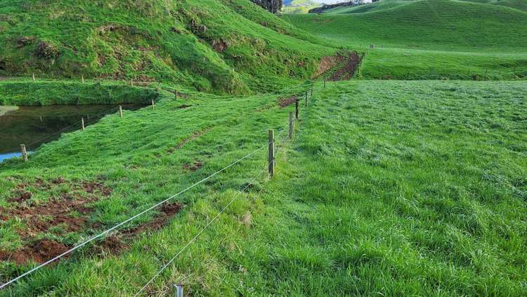 348 Ratapiko Road Ratapiko_15