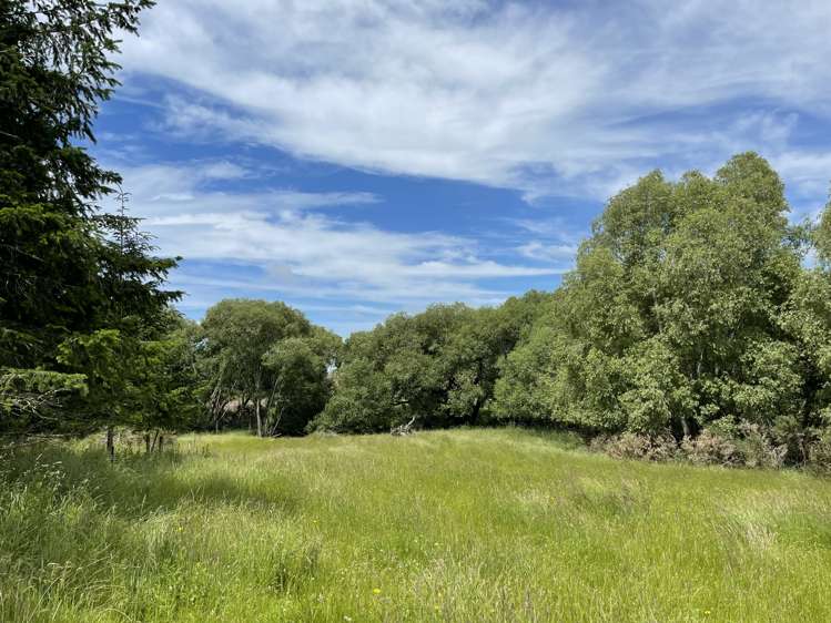 92 Maytown Road Waimate_5