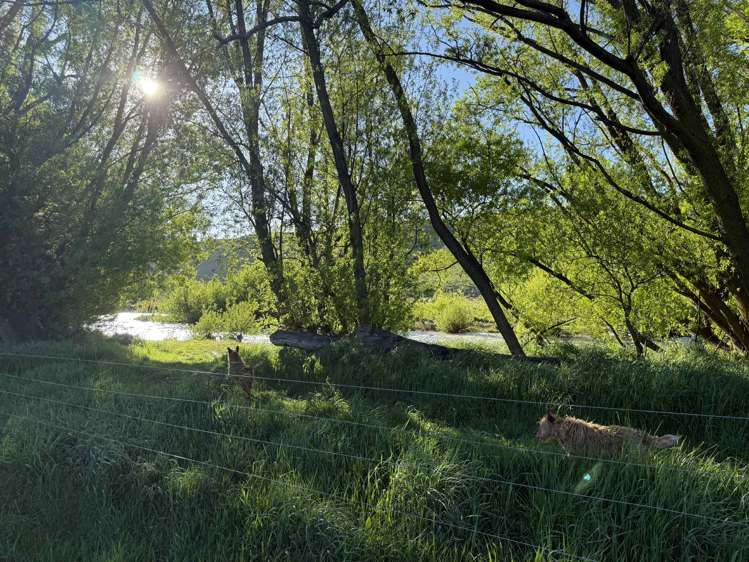 633 Ardgour Road Tarras_10