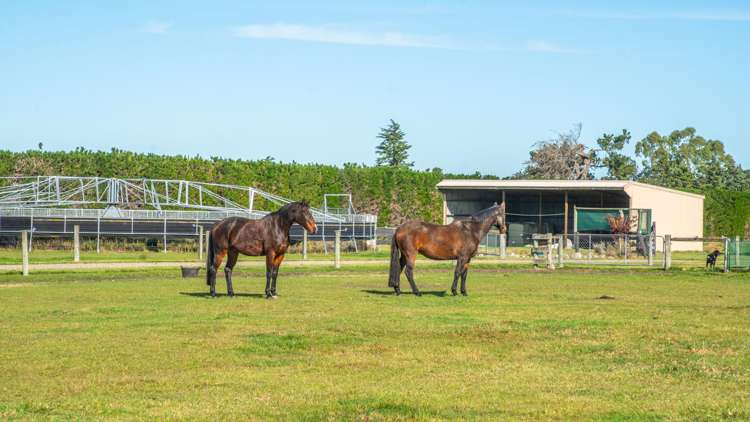 124 Inglis Road Okuku_32
