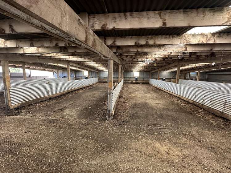 150 Hedgehope Block Road Hedgehope_11