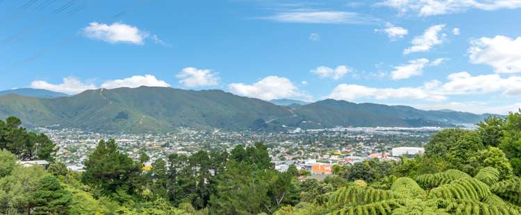 28 Matuhi Street Tirohanga_28