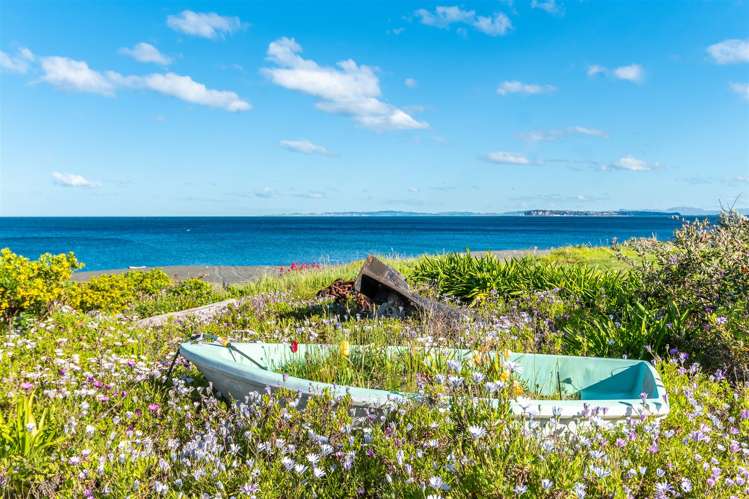 285 Whirinaki Road Eskdale_20