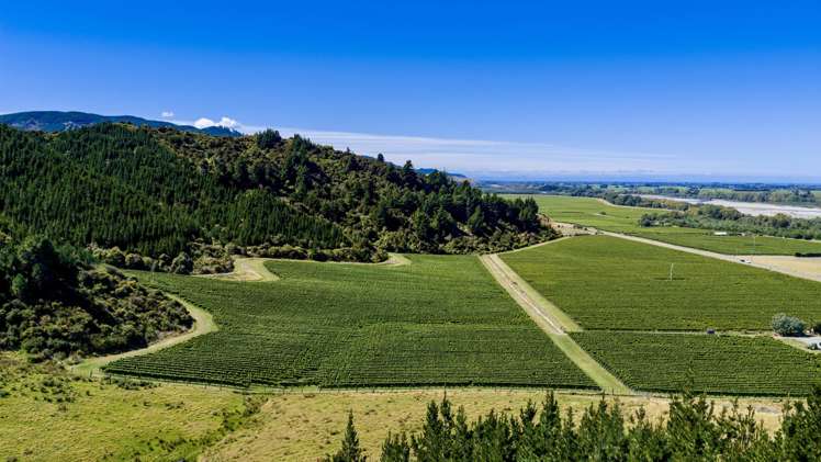 1224 Kaituna-Tuamarina Road Kaituna_20