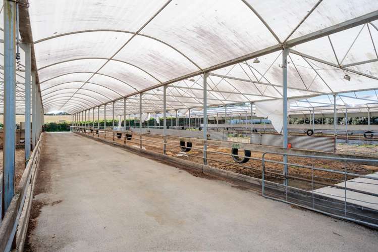 231A Morgan Road Matamata_15