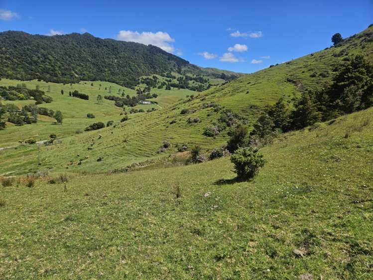 160 Te Rore Road Kaitaia_22