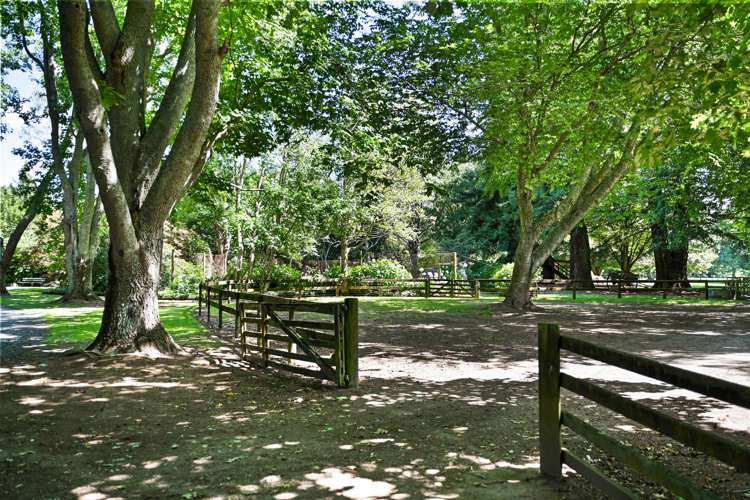 781c Bruntwood Road Tamahere_30