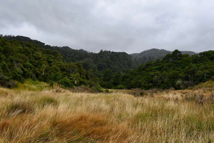 904 Karamea Kohaihai Road Karamea_11