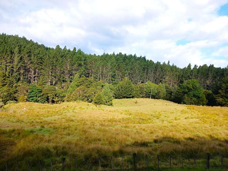 153 Champion Road Kaingaroa_31