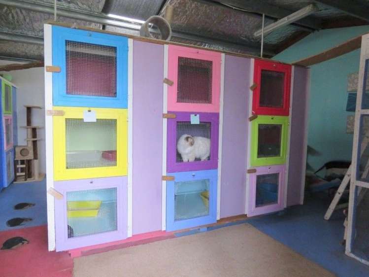 255 Gibbon Road Morrinsville_20