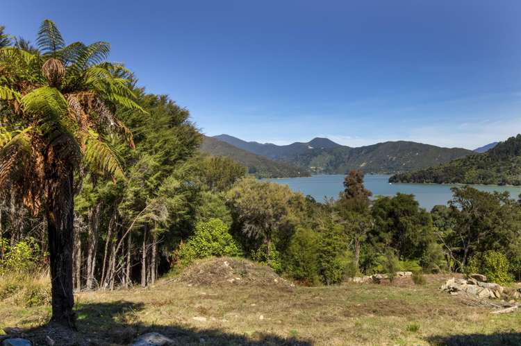 Lot 42 Kaiuma Bay Road Kaiuma Bay_20