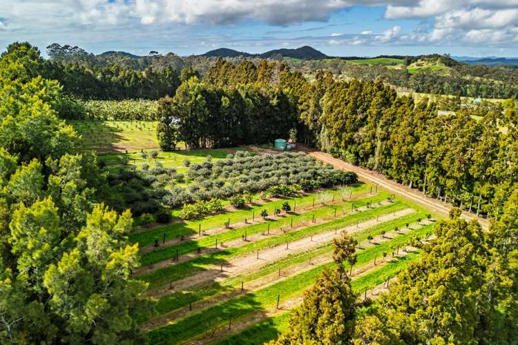 1244A State Highway 10 Kerikeri_11