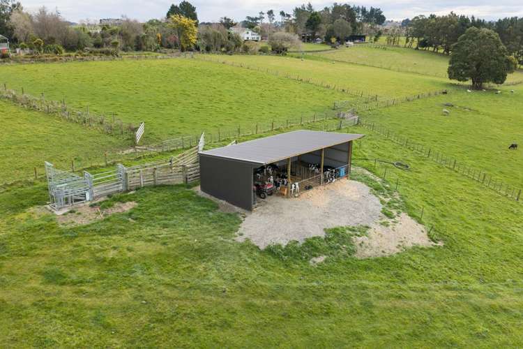 780 Halcombe Road Halcombe_9