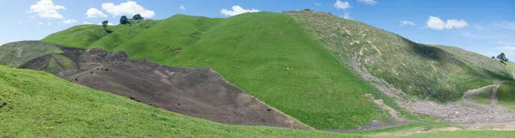 44 Coates Road Waikite Valley_7