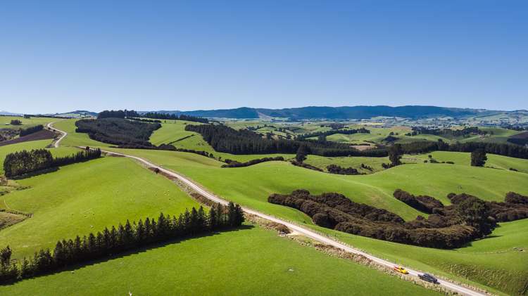 1087 Table Hill Road Milton_4