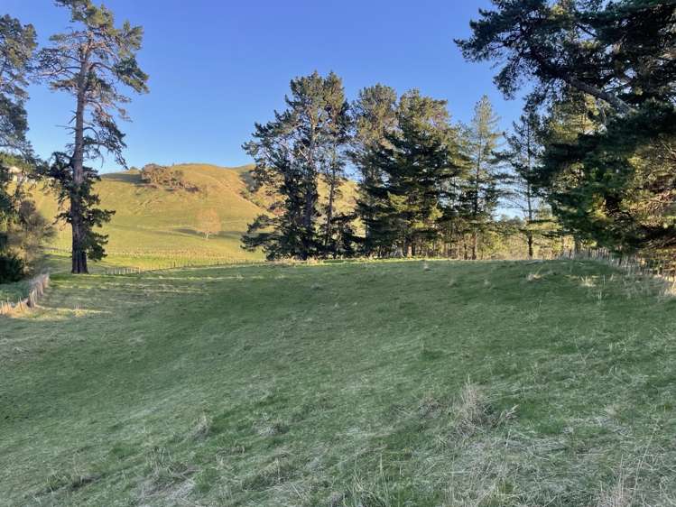 1019 Dartmoor Road Puketapu_21