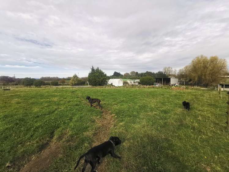 602 Awahuri Feilding Road Awahuri_17