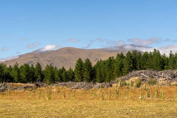 24C Spillway Street_4